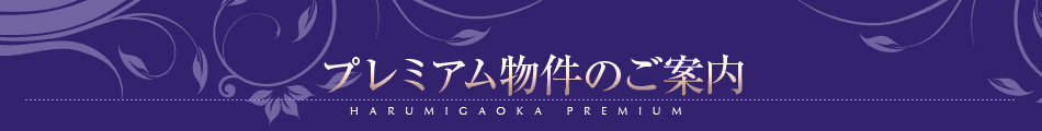 プレミアム物件のご案内