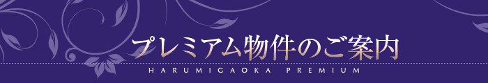 プレミアム物件のご案内