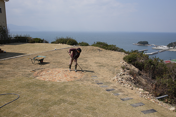 芝生を植え込み中