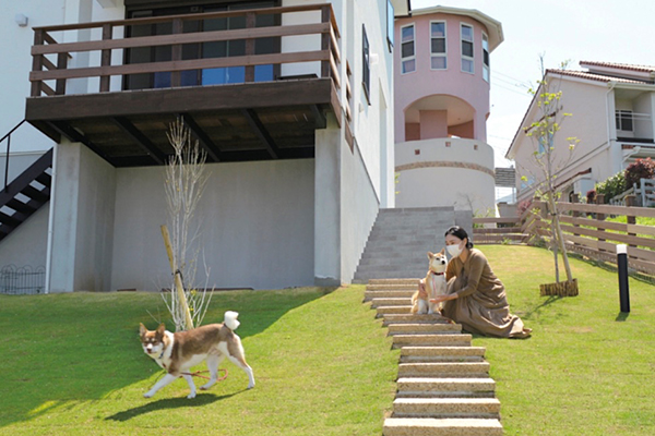 ドッグランでワンちゃん逹も元気