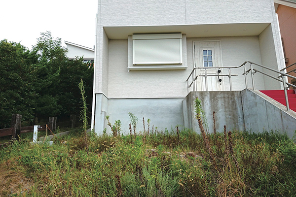 雑草に覆われていた整備前のお庭