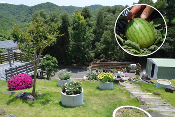 南に広がる素敵なお庭。小玉スイカも育っています。