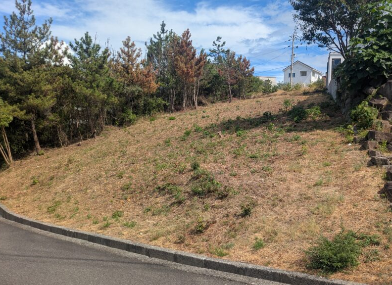 11-11C号地　売土地